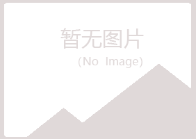 大新县从安机械有限公司